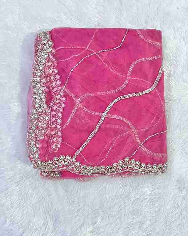 Graceful & Elegant Design Handwork Net Saree