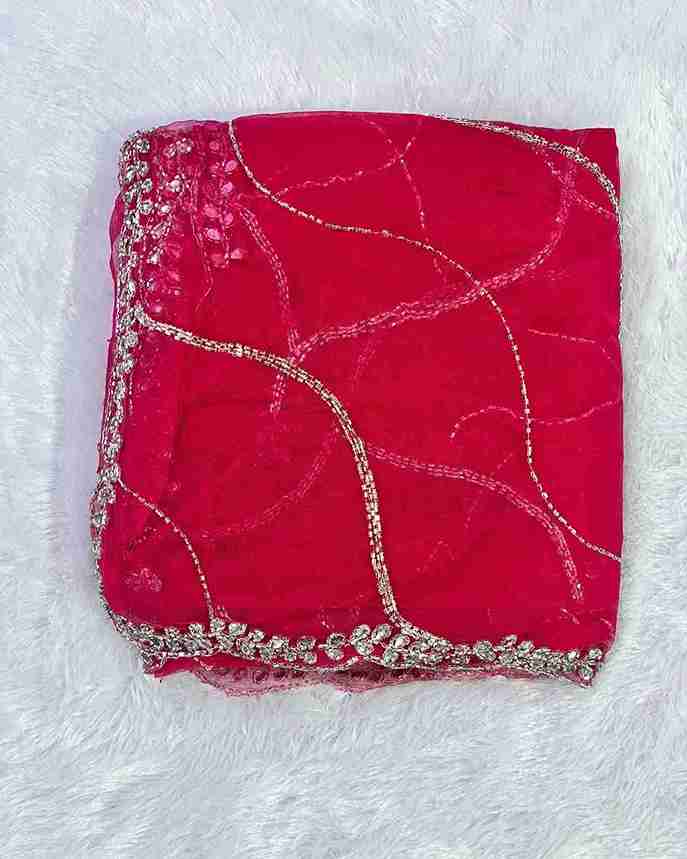Graceful & Elegant Design Handwork Net Saree