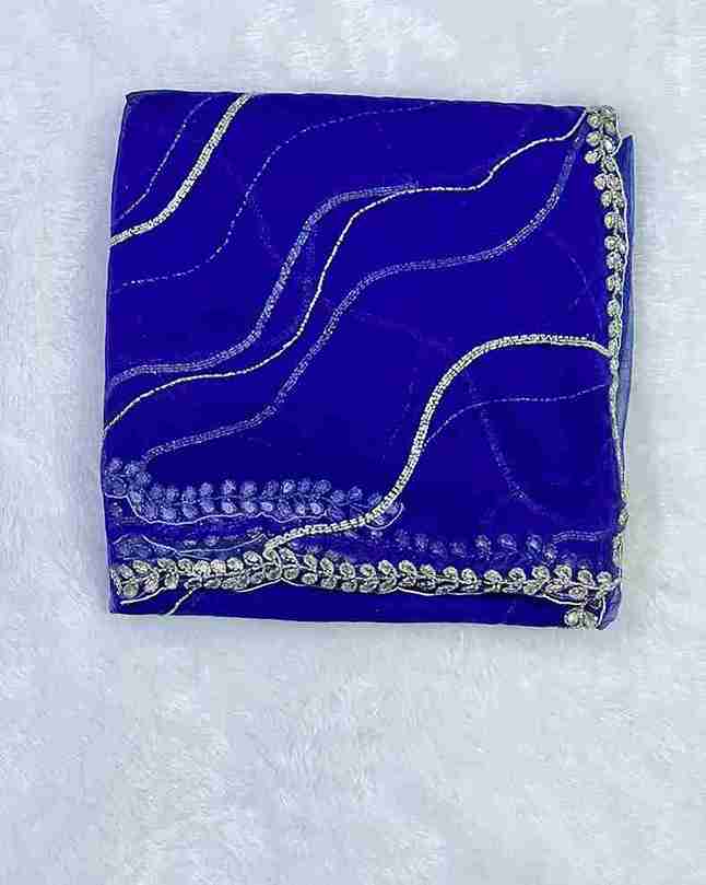 Graceful & Elegant Design Handwork Net Saree