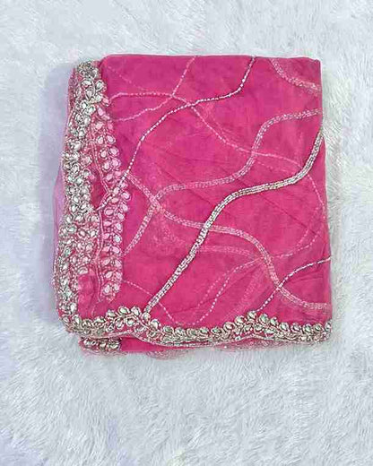Graceful & Elegant Design Handwork Net Saree