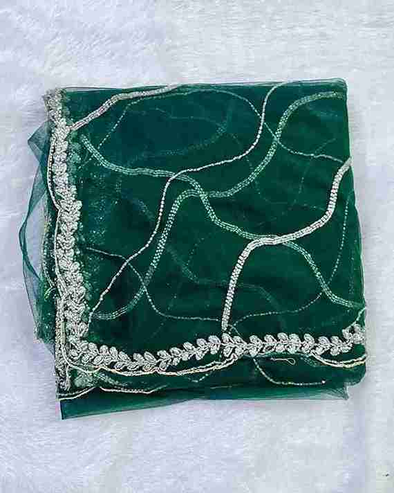 Graceful & Elegant Design Handwork Net Saree