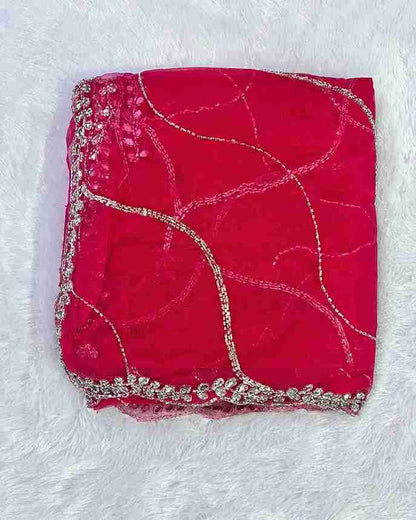 Graceful & Elegant Design Handwork Net Saree